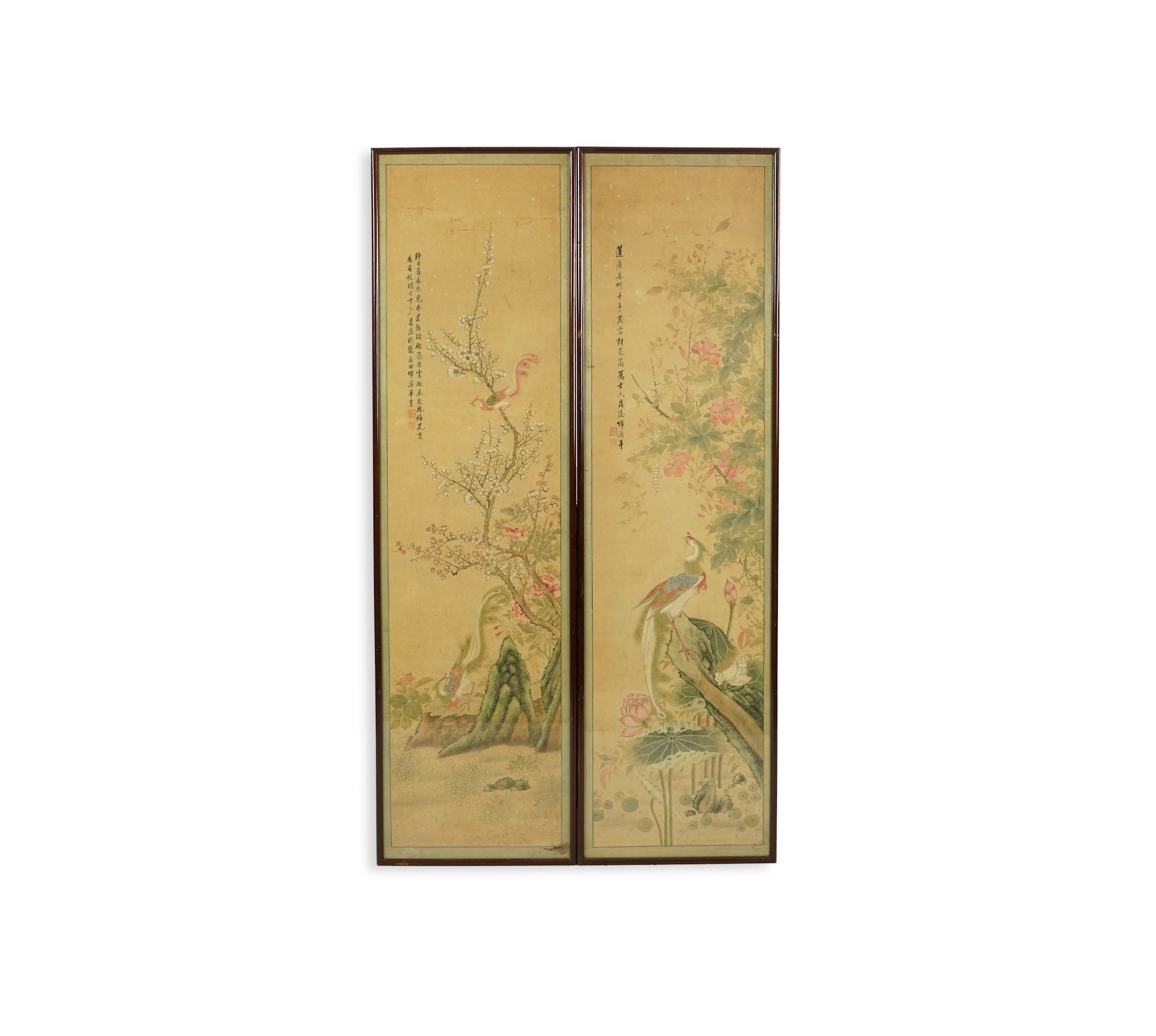 Chinese School , (18th/19th century), Phoenixes amid flowers, Ink and colour on paper; a pair